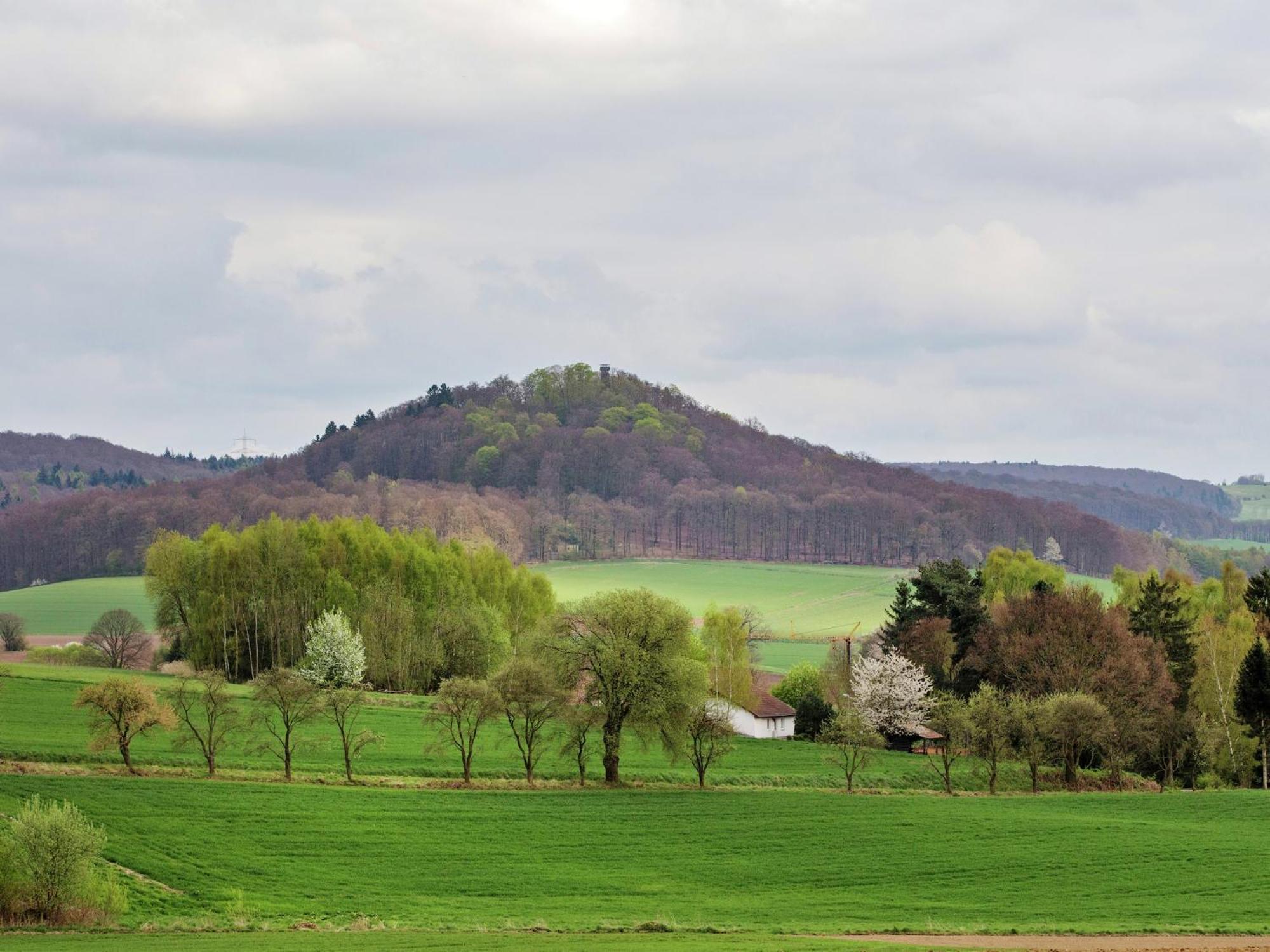 Large Detached Holiday Home In Hesse With Private Garden And Terrace Homberg  Exterior foto